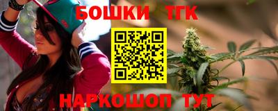 прущие крисы Камышлов