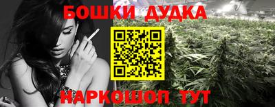прущие крисы Камышлов