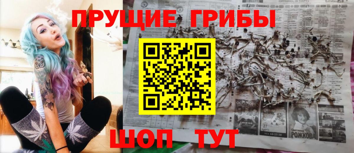 Псилоцибиновые грибы Cubensis Лыткарино
